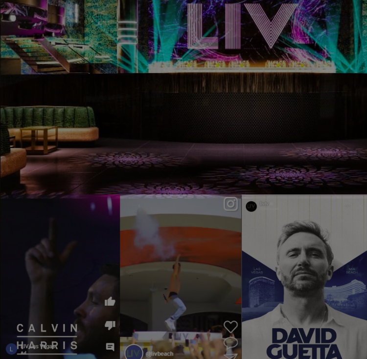 LIV & LIV Beach Case Study with True Tallent